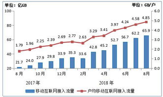 探索互聯網數據資訊中心與199it 專業互聯網數據服務的價值與前景